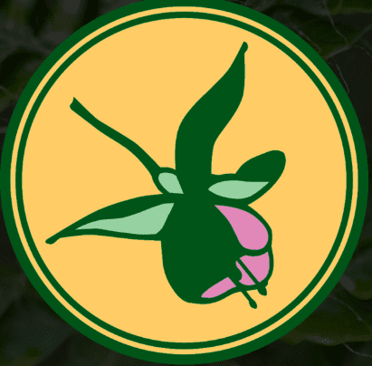 Hashimoto Nursery logo