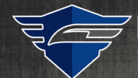 Integrity Security Services Inc. logo