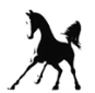 Malibu Riders logo