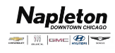 Napleton Downtown Chicago logo