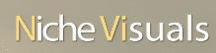 Niche Visuals Videographer and Video Production Services logo