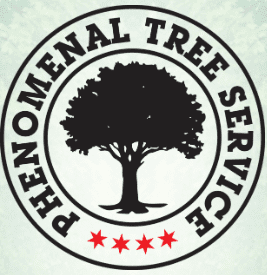 Phenomenal Tree Service logo