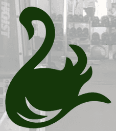 Toluca Lake Tennis and Fitness Club logo