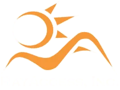 RayAccess, Inc. logo
