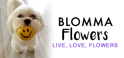 Blomma Flower Shop logo