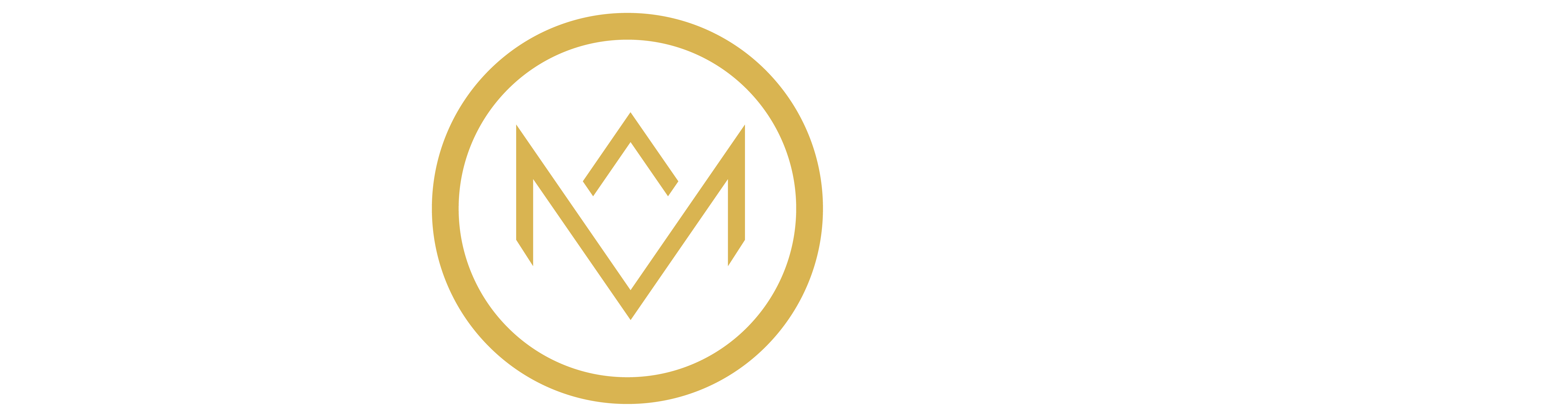 Mode Gym logo