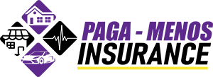 Paga-Menos Insurance y Cambios de Titulo logo