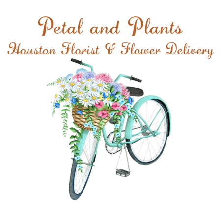 Petal and Plants – Houston Florist & Flower Delivery logo