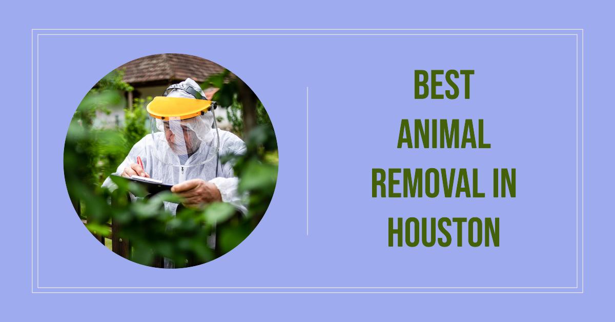 3 Best Animal Removal In Houston (2026)