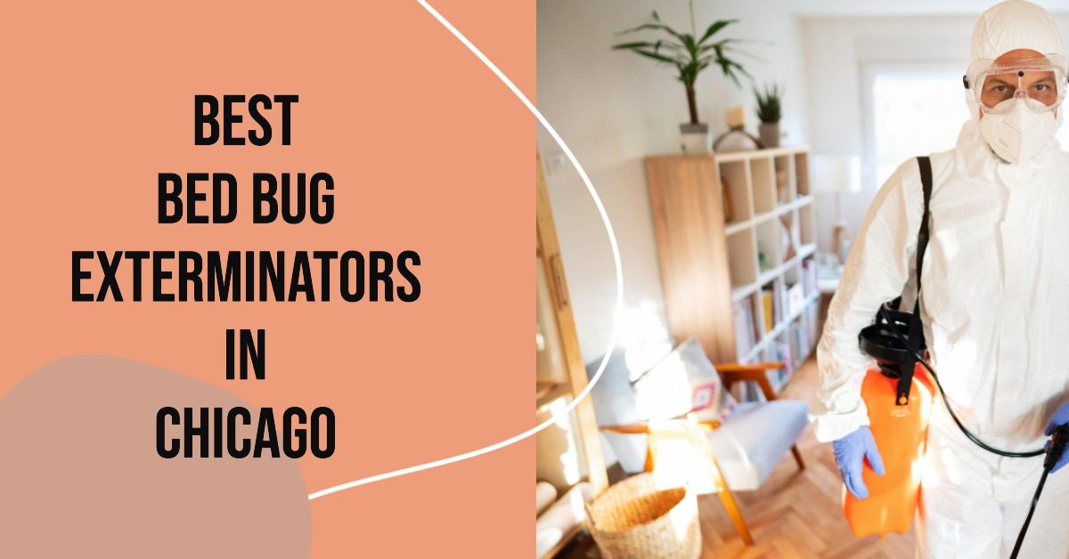 5 Best Bed Bug Exterminators In Chicago (2026)