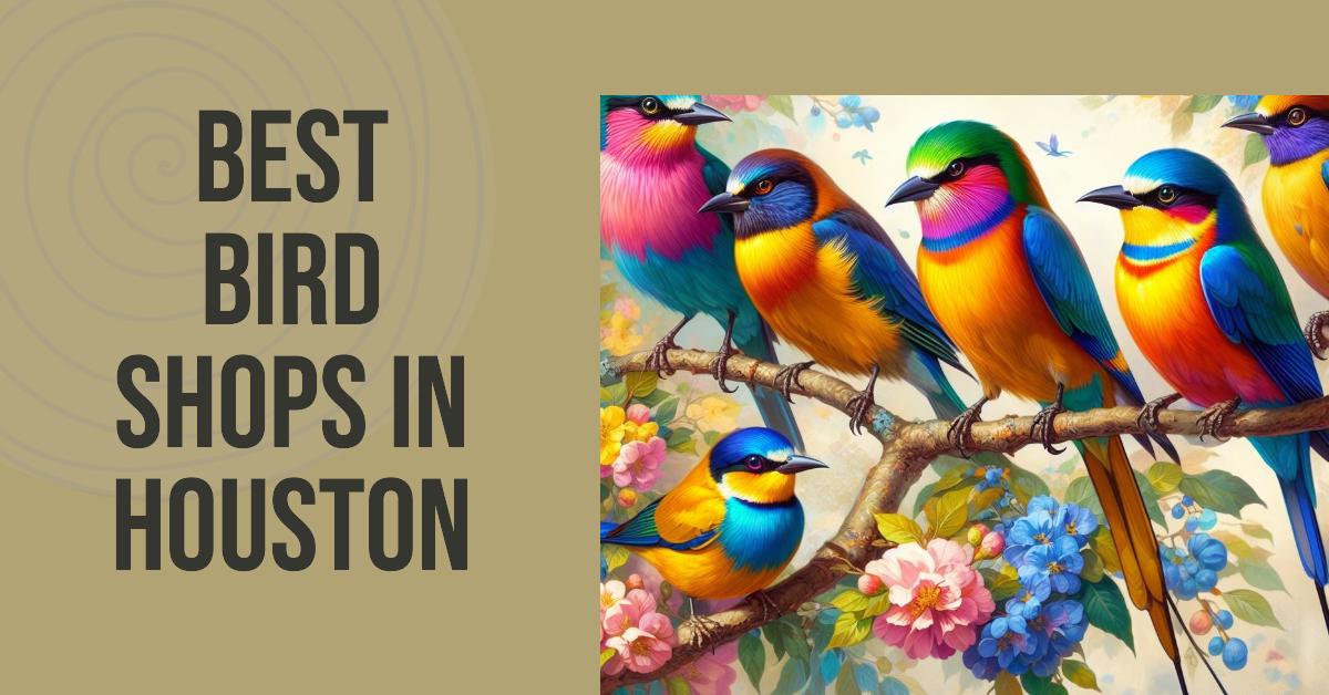 5 Best Bird Shops In Houston (2026)