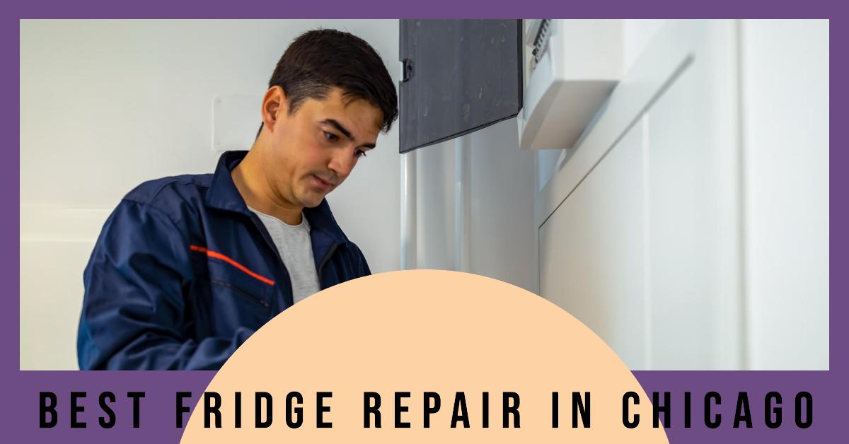 5 Best Fridge Repair In Chicago (2026)