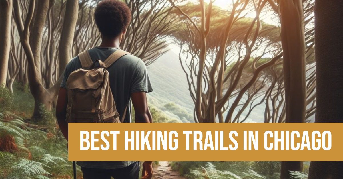 5 Best Hiking Trails In Chicago (2026)
