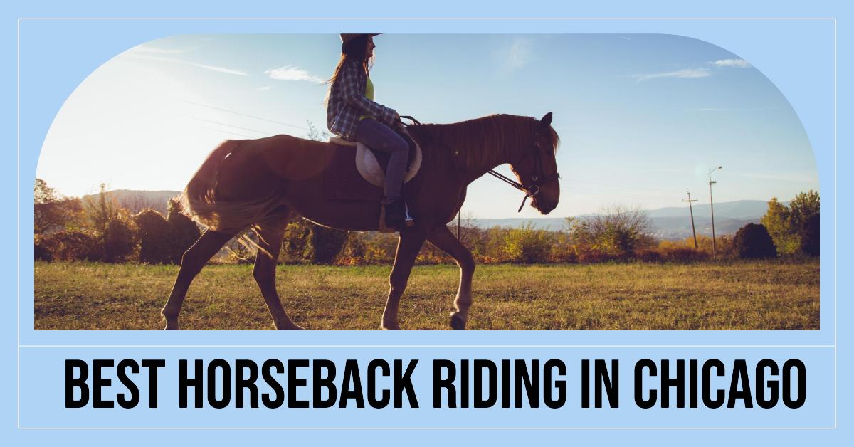 4 Best Horseback Riding In Chicago (2026)