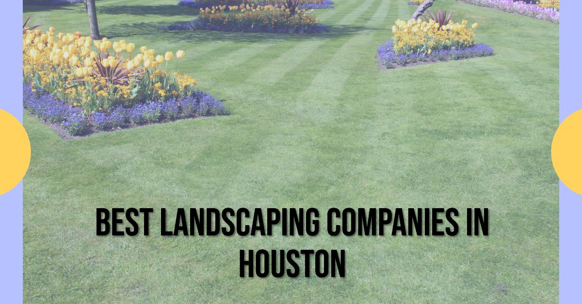 5 Best Landscaping Companies In Houston (2026)