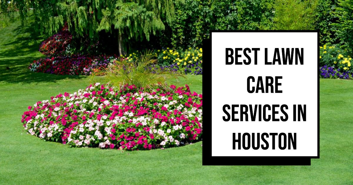 5 Best Lawn Care Services In Houston (2026)