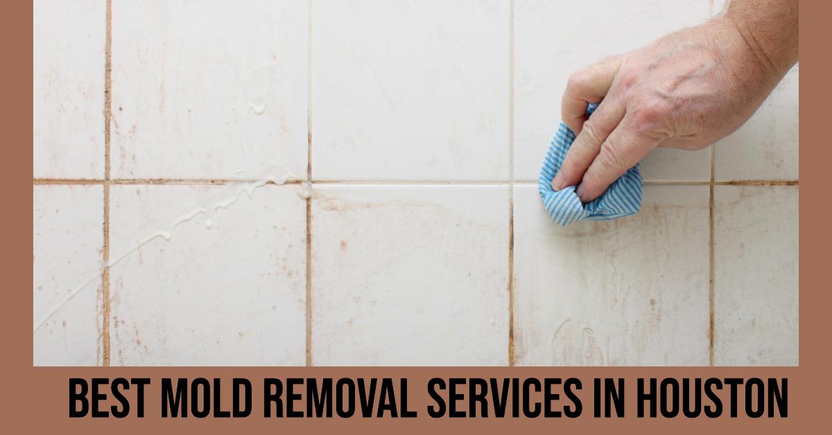 5 Best Mold Removal Services In Houston (2026)