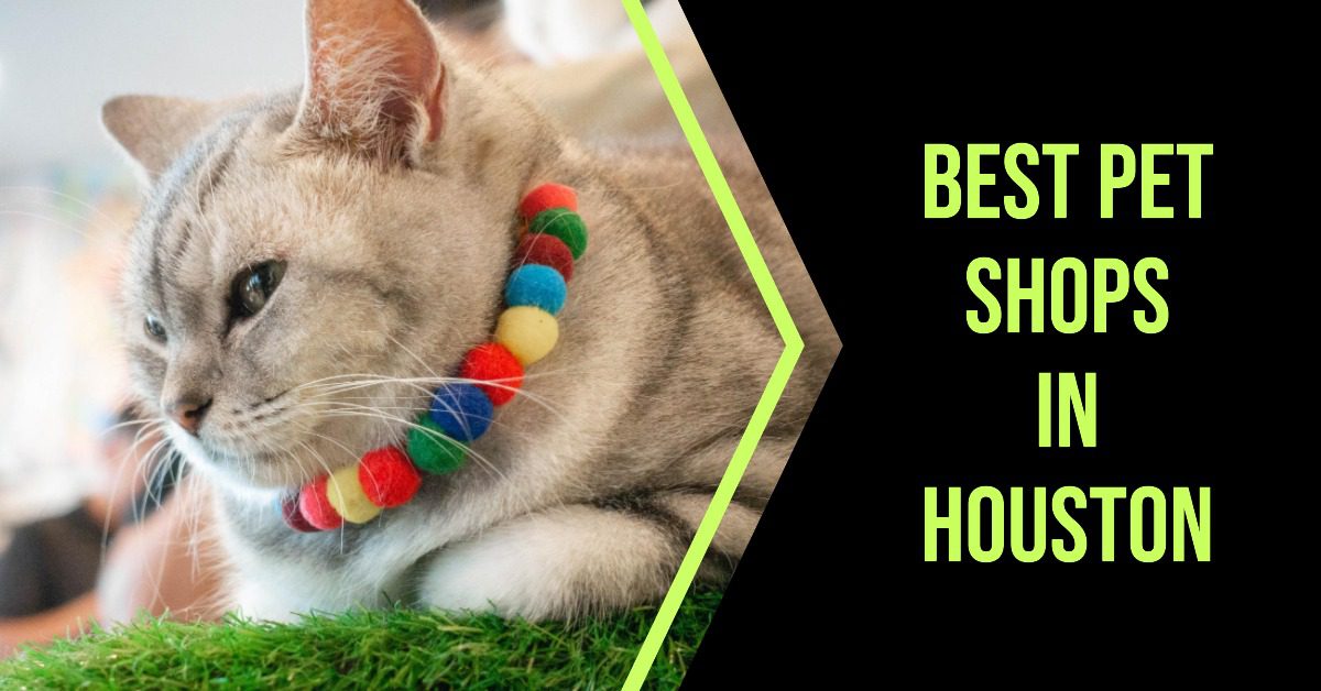 5 Best Pet Shops In Houston (2026)