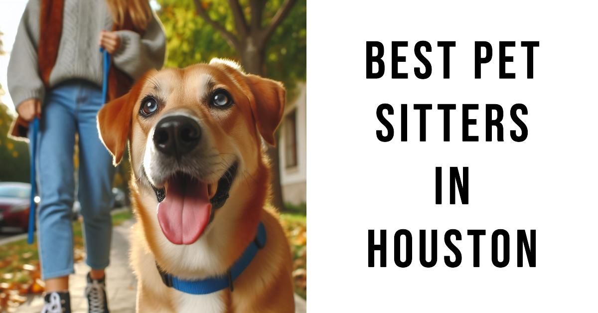 5 Best Pet Sitters In Houston (2026)