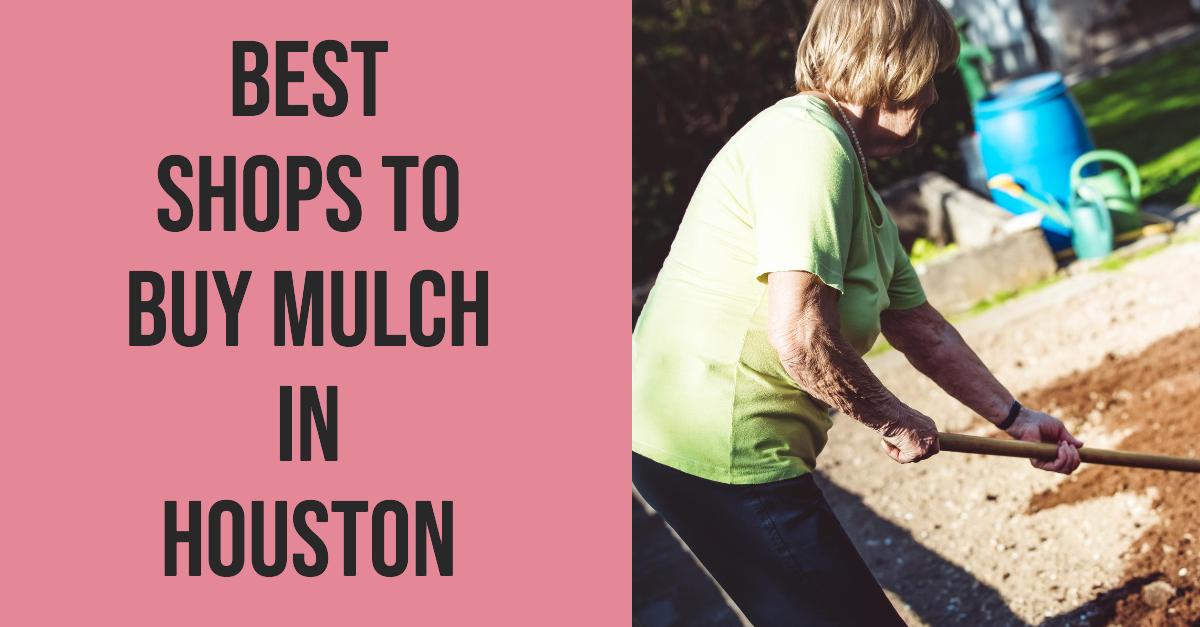 3 Best Shops To Buy Mulch In Houston (2026)