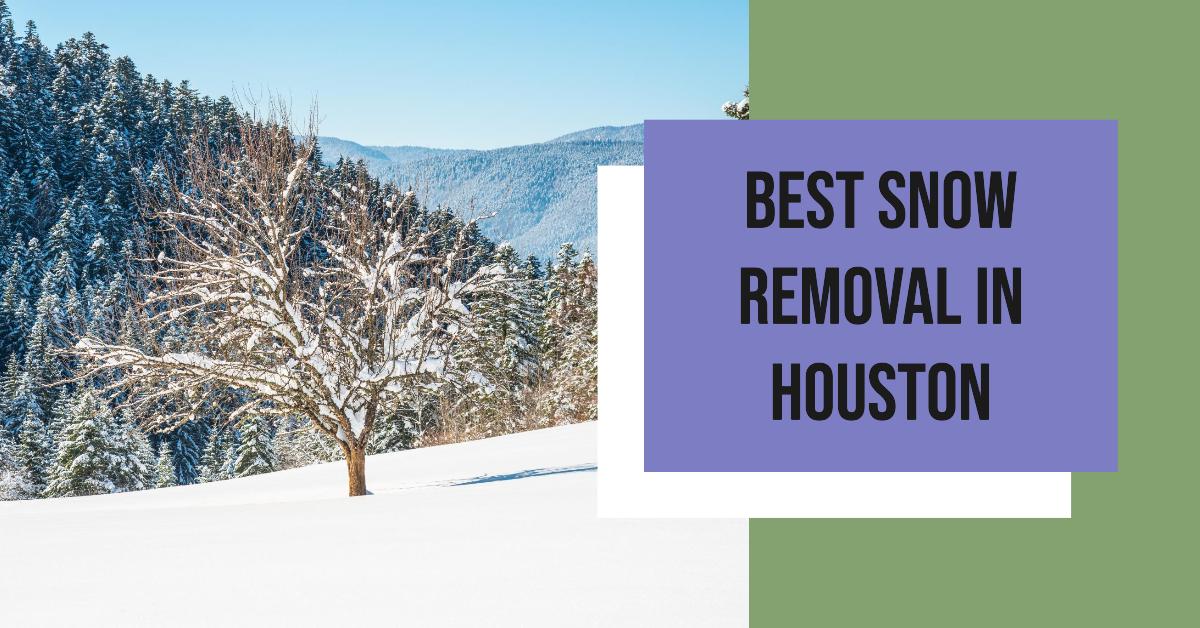 4 Best Snow Removal In Houston (2026)