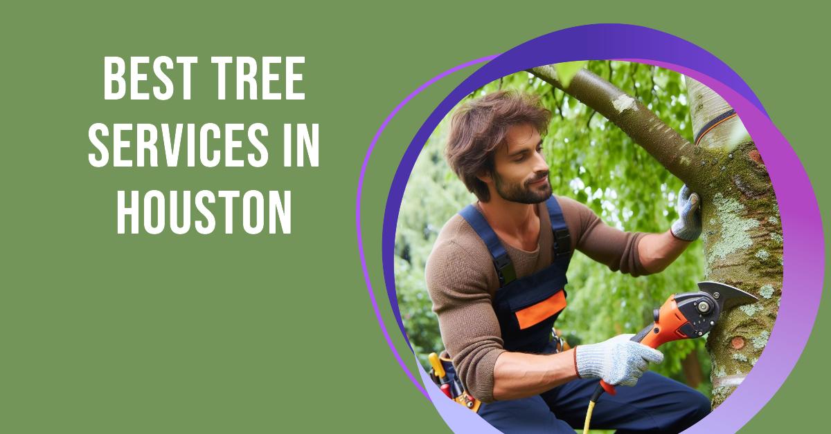 5 Best Tree Services In Houston (2026)