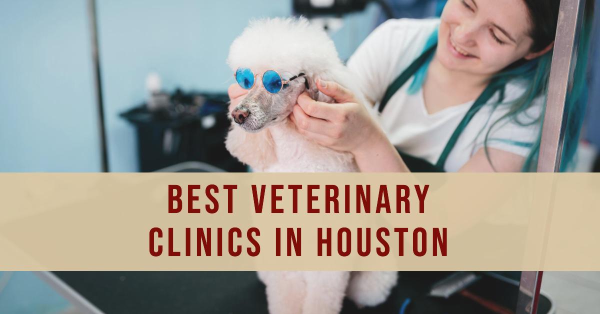 5 Best Veterinary Clinics In Houston (2026)