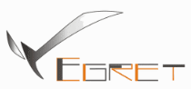 Chicago Egret Badminton Club logo