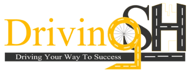 Driving School of Houston logo