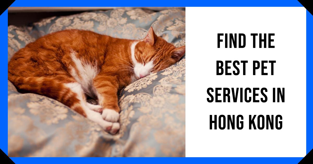 Pet Services