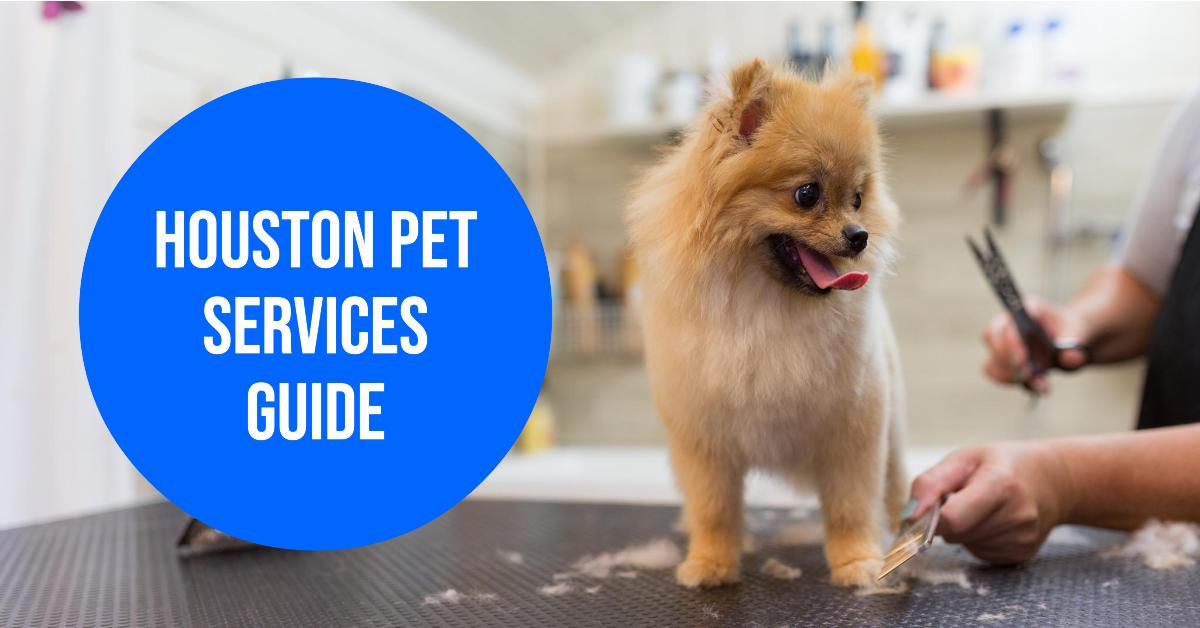 Pet Services