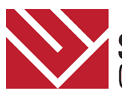 Stratagem Construction & Home Remodeling logo