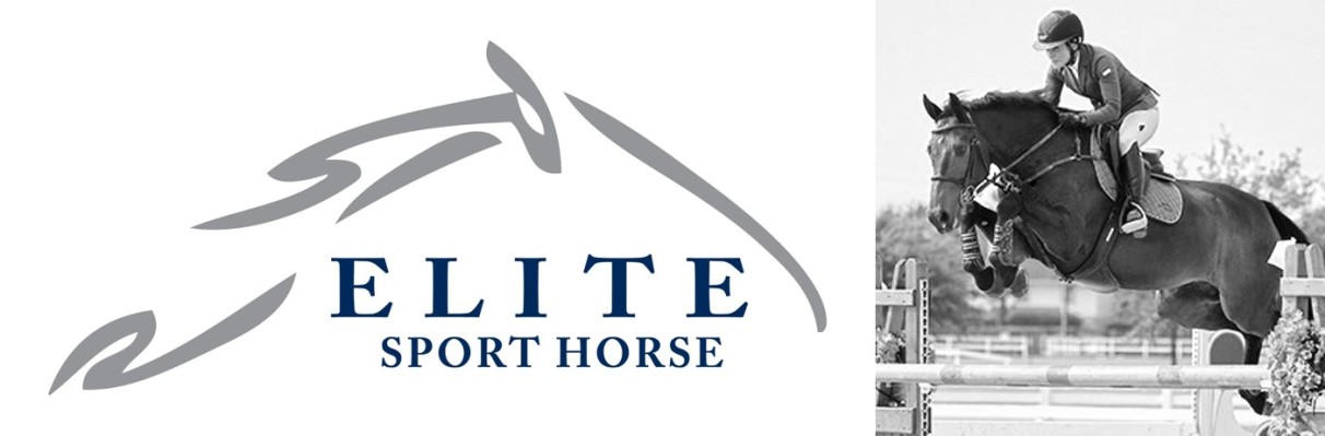 Elite Sport Horse logo