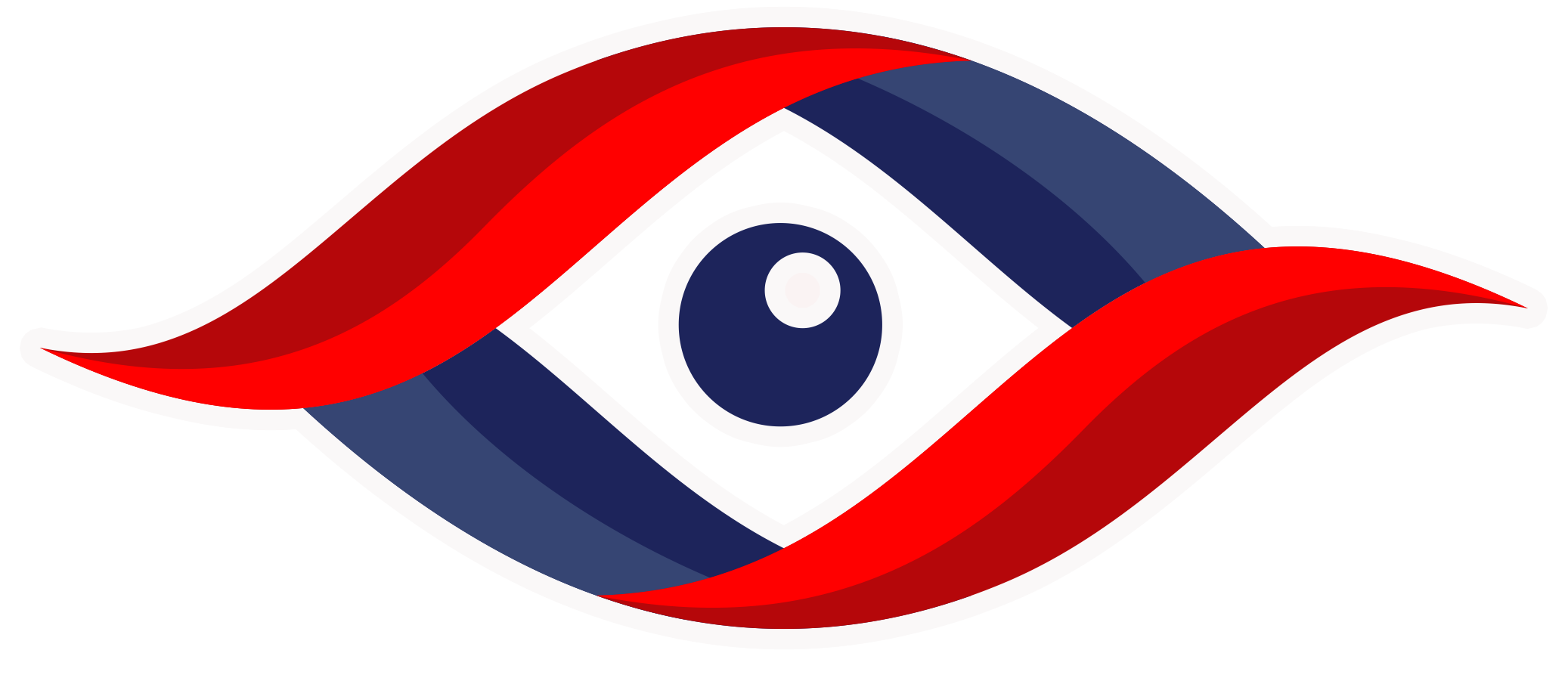 Texas Style Eyewear logo