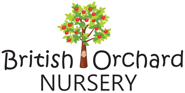 British Orchard Nursery – Dubai Silicon Oasis logo