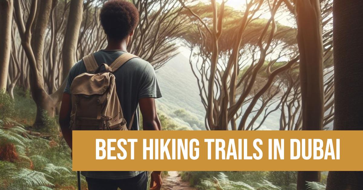 4 Best Hiking Trails In Dubai (2026)