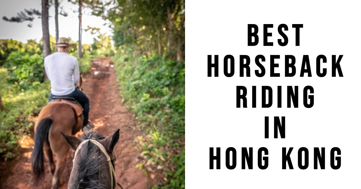 4 Best Horseback Riding In Hong Kong (2026)