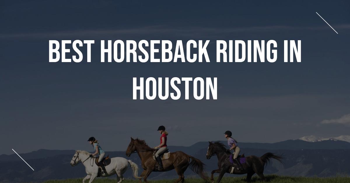 3 Best Horseback Riding In Houston (2026)