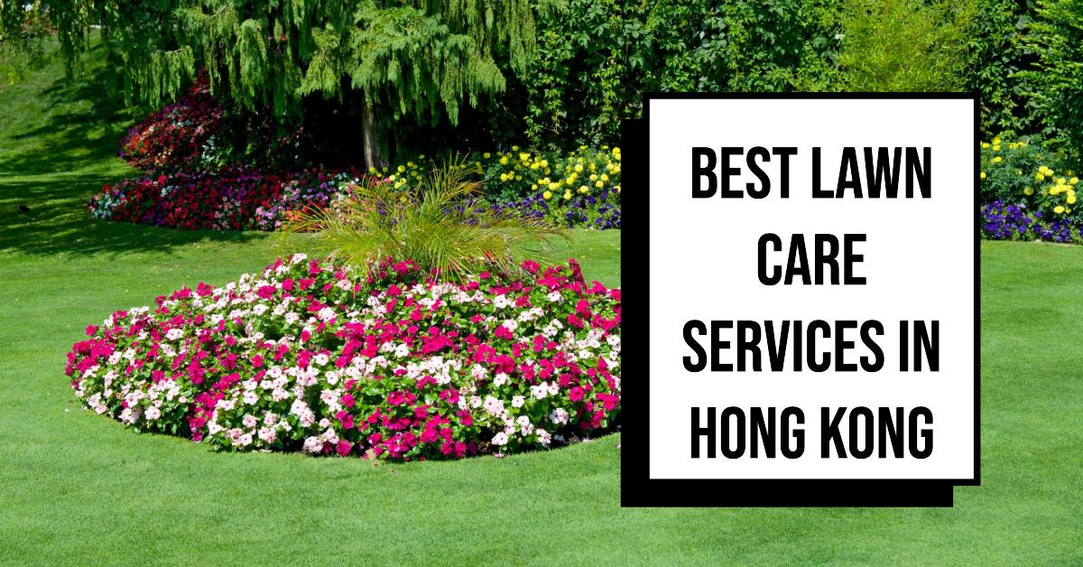 3 Best Lawn Care Services In Hong Kong (2026)