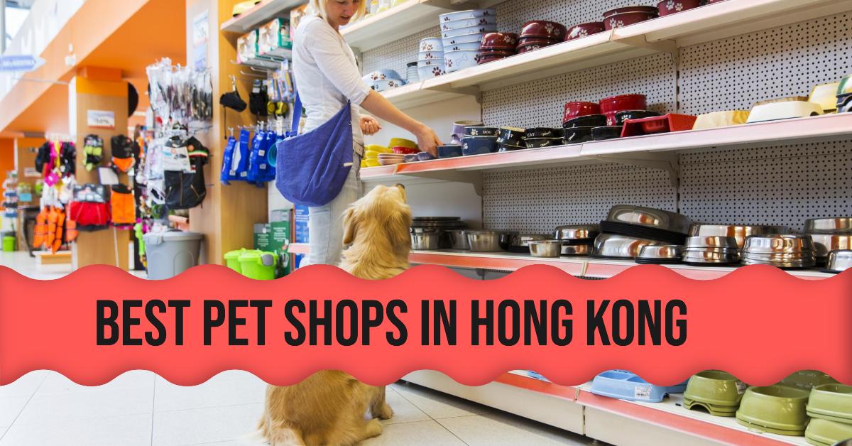 5 Best Pet Shops In Hong Kong (2026)