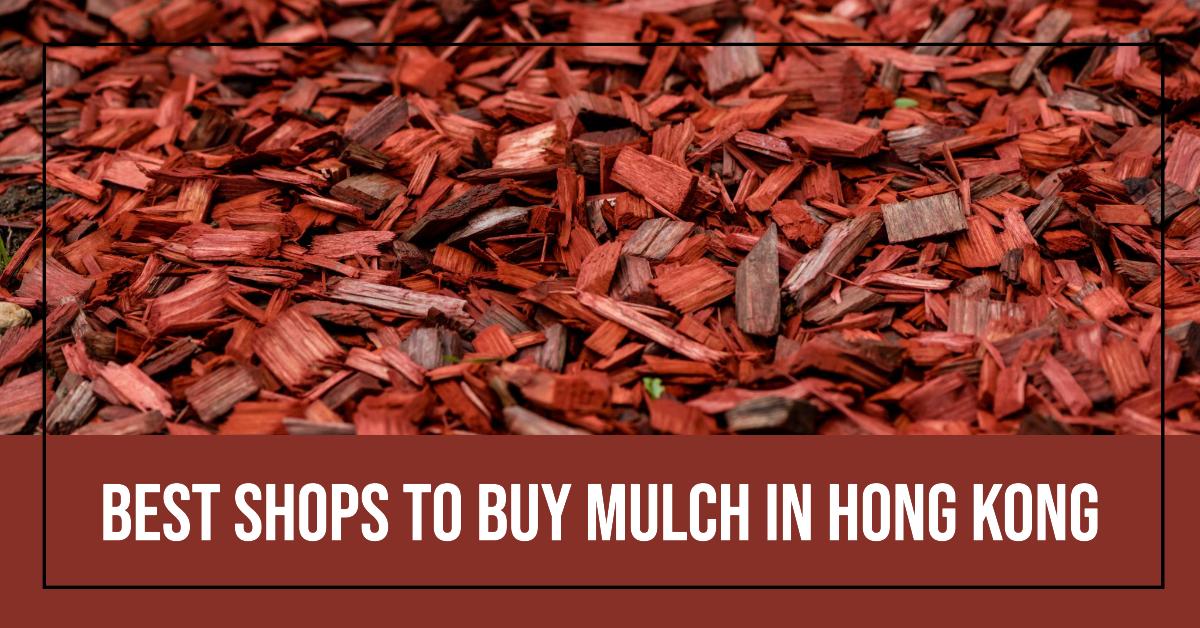 4 Best Shops To Buy Mulch In Hong Kong (2026)