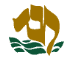 Chabad of Kowloon – Hong Kong logo