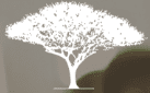 Evangelical Christian Church of Dubai (ECCD) logo