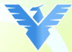 Flying Eagle Bus Company logo