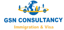 Gsn Consultancy logo