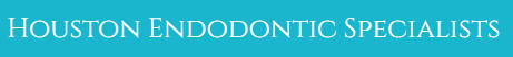Houston Endodontic Specialists logo