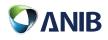 ANIB – Al Nabooda Insurance Brokers in Dubai logo