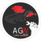 Auto Glass Wizards logo