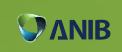 ANIB – Al Nabooda Insurance Brokers in Dubai logo