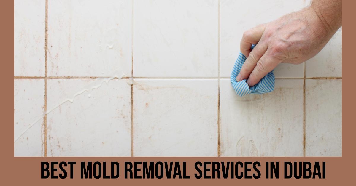 3 Best Mold Removal Services In Dubai (2026)